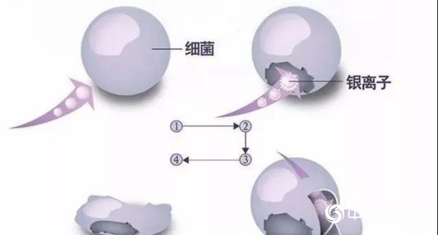 涂料抗菌？刷新三观的“黑科技” 不妨看一看"137468"