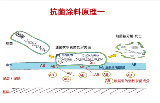 刷在内墙上的“健康科技” 立邦工程高级产品经理李蜀在线解析