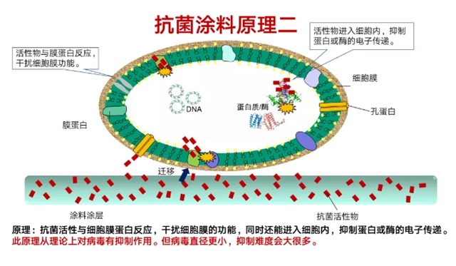 刷在内墙上的“健康科技” 立邦工程高级产品经理李蜀在线解析