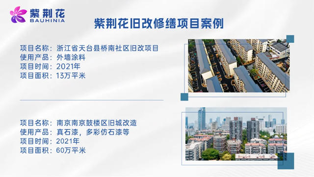 紫荆花入选上海市住宅修缮工程材料推优产品名录
