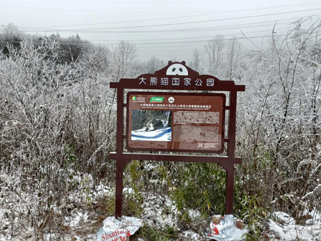 第八届CSR中国教育奖揭晓 三棵树荣获两项社会责任大奖